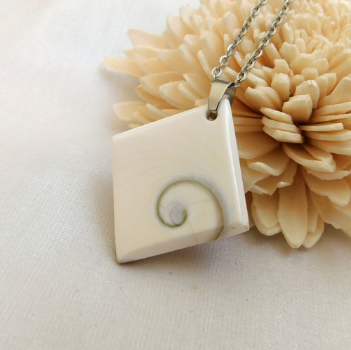 Shiva eye
