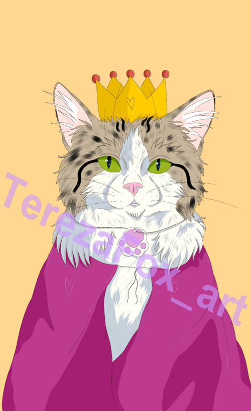 Kočičí princ