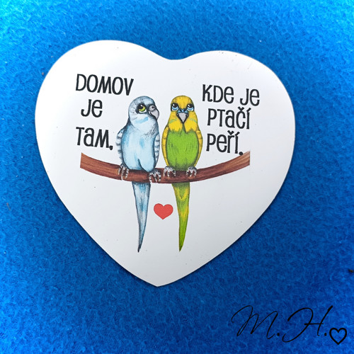 Domov je tam, kde je ptačí peří - magnetka