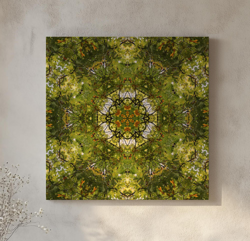 Dub / tisk na malířské plátno 50x50 cm