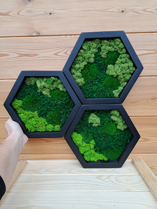 Set 3 hexagonů