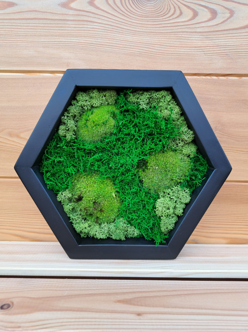 Hexagon — foto 1