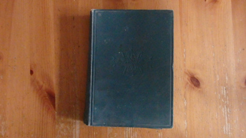 Satan — foto 1