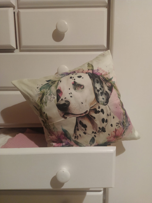 Dalmatin