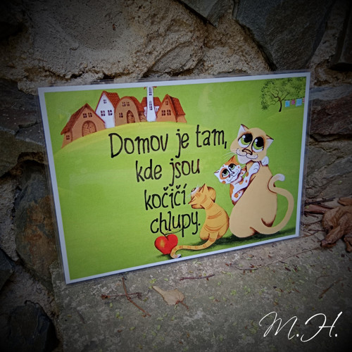 Domov je tam, kde jsou kočičí chlupy