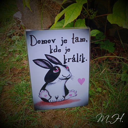 Domov je tam, kde je králík