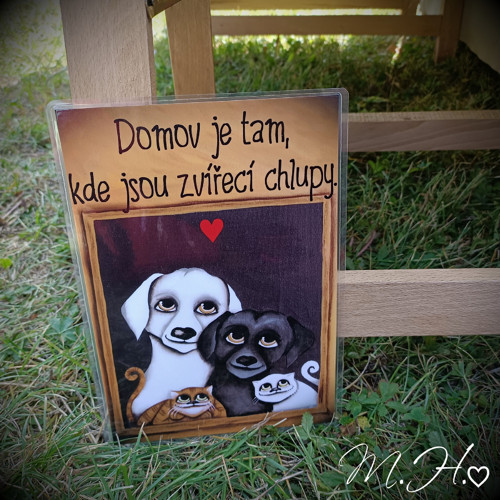 Domov je tam, kde jsou zvířecí chlupy
