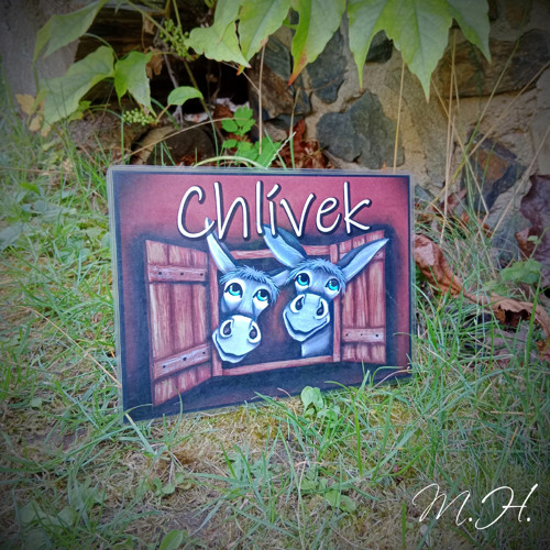Chlívek - oslíci