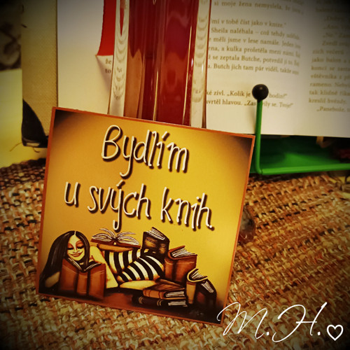 Bydlím u svých knih