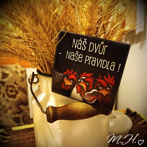 Náš dvůr - naše pravidla! — foto 1