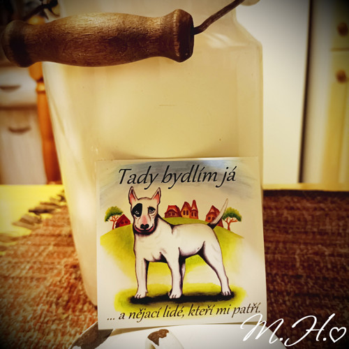 Tady bydlím já... - magnetka - bulteriér