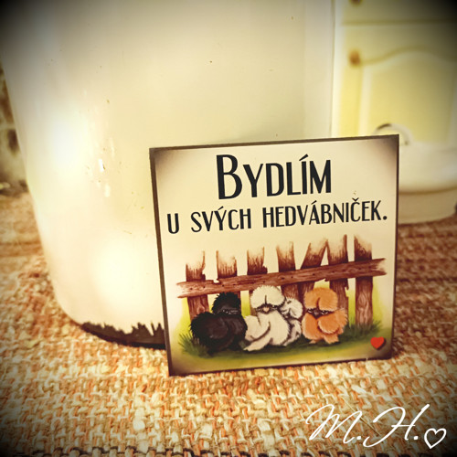 Bydlím u svých hedvábniček