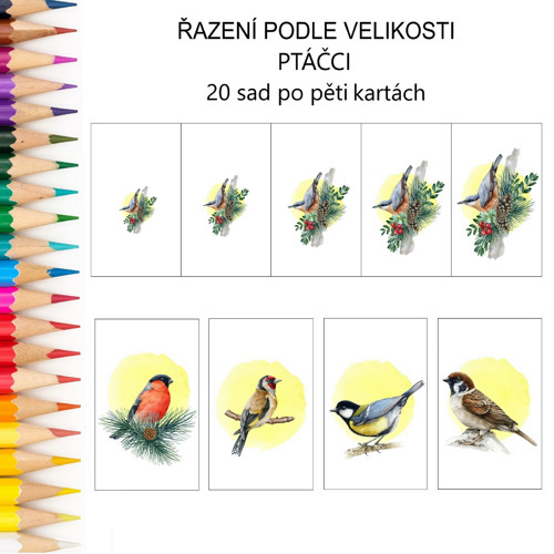 Řazení podle velikosti PTÁČCI v PDF
