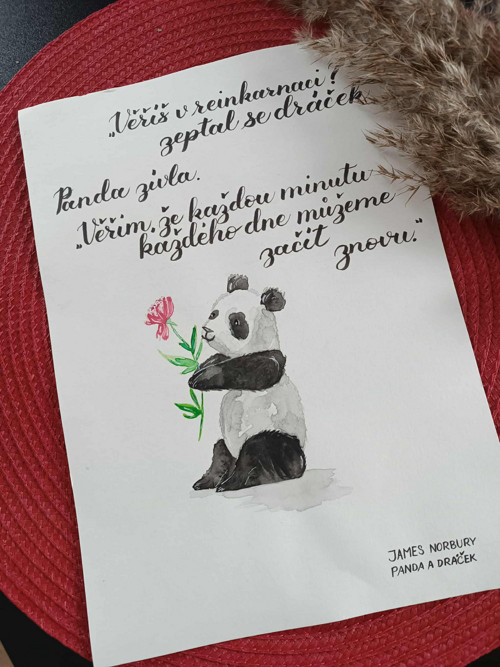 Akvarel Panda