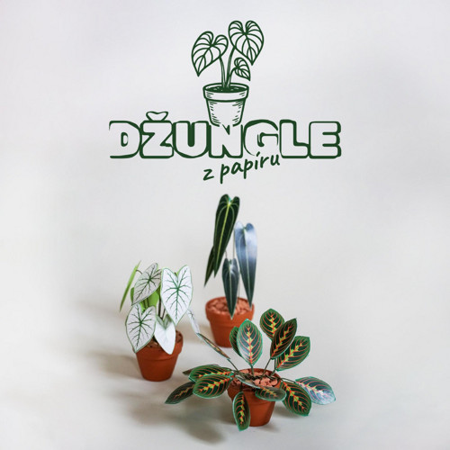 DŽUNGLE Z PAPÍRU - tropické trio 3