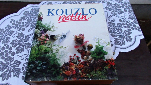 Kouzlo rostlin