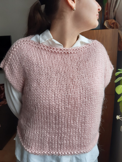 Vesta SLEVA