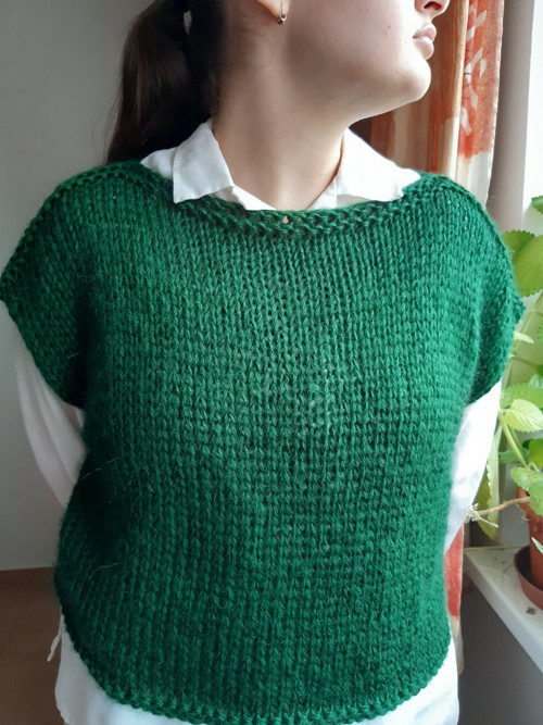 Vesta SLEVA