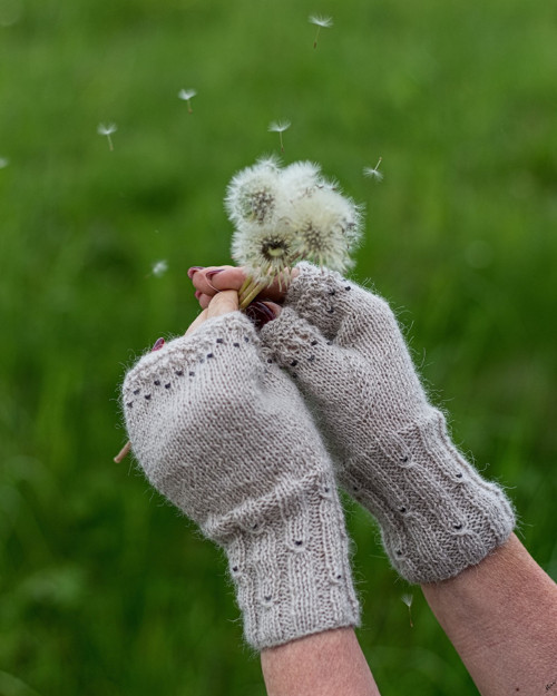 Crème de la Crème ... alpaca — foto 1
