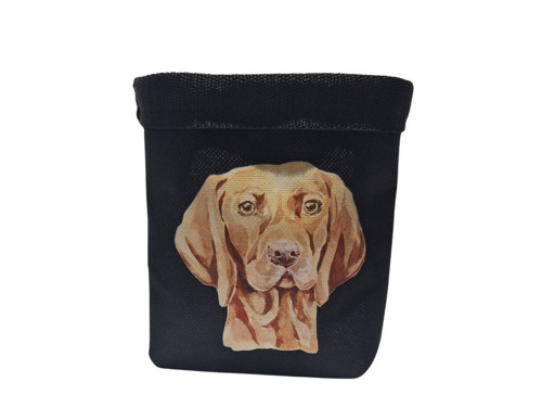 Pamlskovník Vizsla