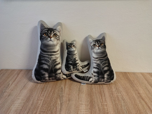 Whiskas kočka - 3D polštář