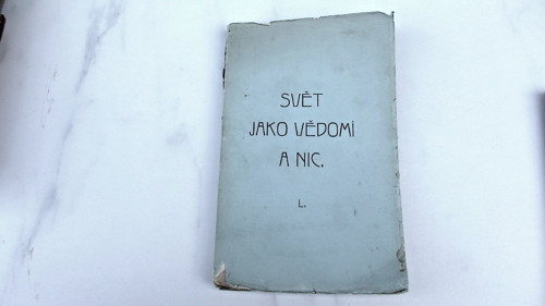 Svět jako vědomí a nic