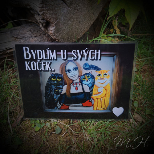 Bydlím u svých koček