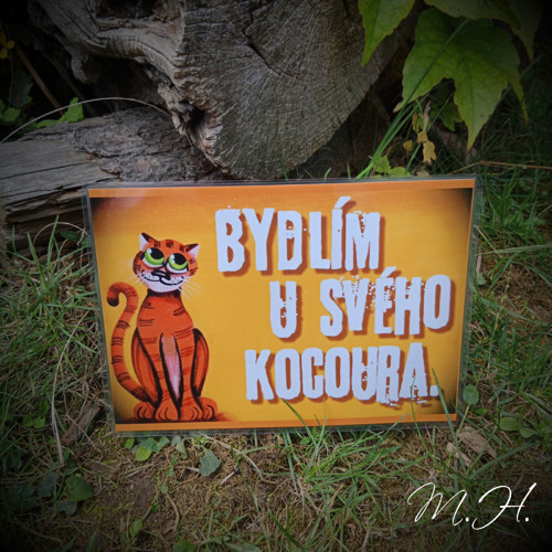 Bydlím u svého kocoura