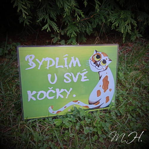 Bydlím u své kočky