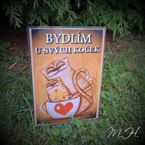 Bydlím u svých koček