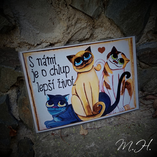 S námi o chlup lepší život