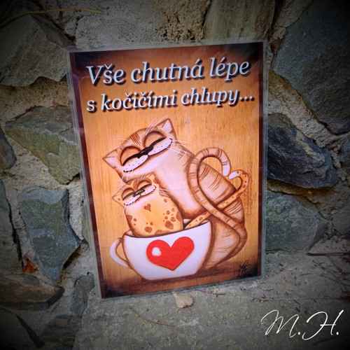 Vše chutná lépe s kočičími chlupy