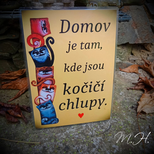 Domov je tam, kde jsou kočičí chlupy