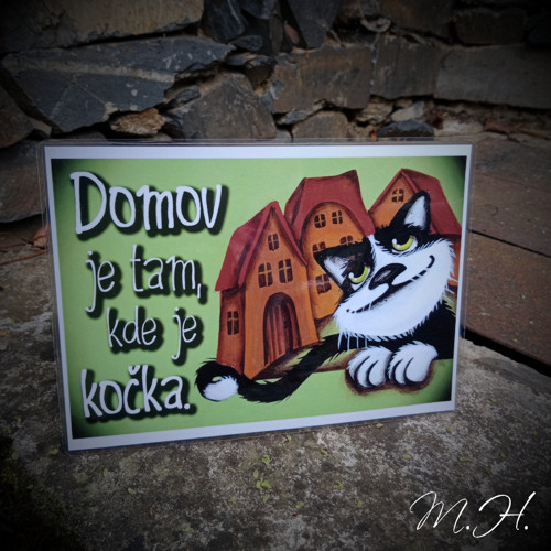 Domov je tam kde je kočka