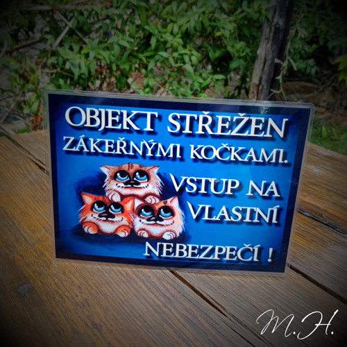 Objekt střežen zákeřnými kočkami...