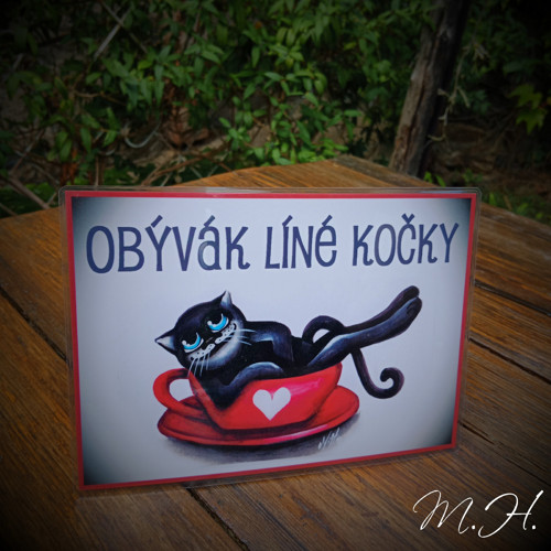Obývák líné kočky — foto 1