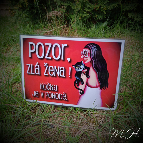 Pozor, zlá žena! Kočka je v pohodě