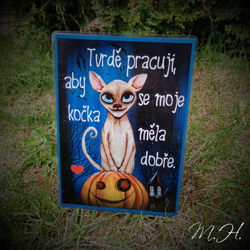 Tvrdě pracuji, aby se moje kočka měla dobře