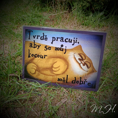 Tvrdě pracuji, aby se můj kocour měl dobře