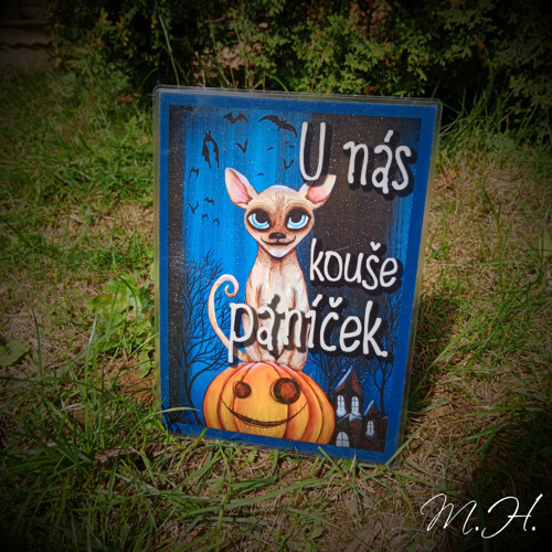 U nás kouše páníček — foto 1