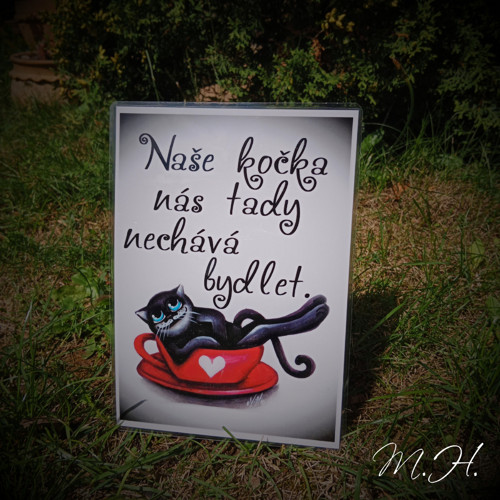 Naše kočka nás tady nechává bydlet