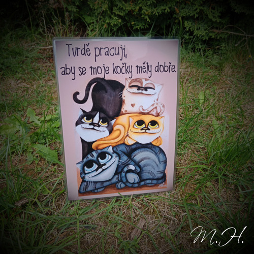 Tvrdě pracuji, aby se moje kočky měly dobře