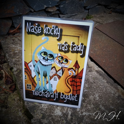 Naše kočky nás tu nechávají bydlet