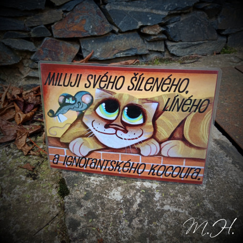 Miluji svého šíleného, líného a ignorantského...