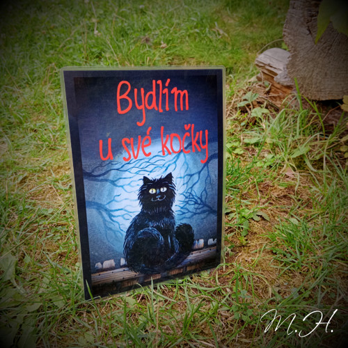 Bydlím u své kočky — foto 1