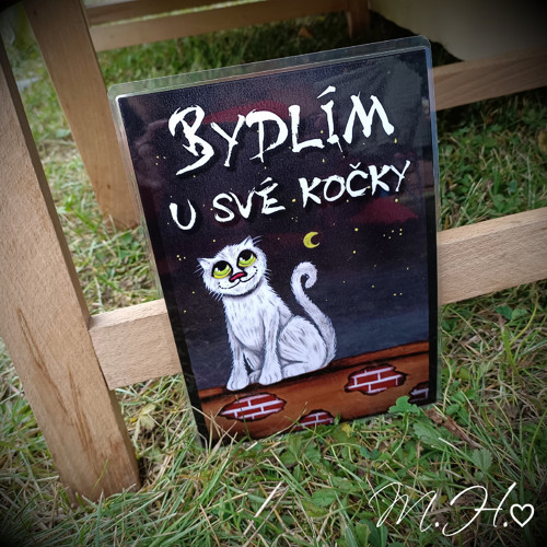 Bydlím u své kočky — foto 1