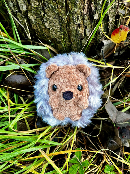 Rozkošný ježeček — foto 1