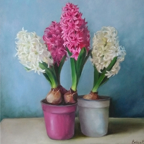 Olejomalba "Hyacinty"