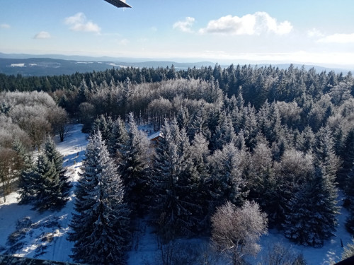 Český les — foto 1