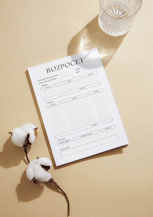 Měsíční rozpočet PDF